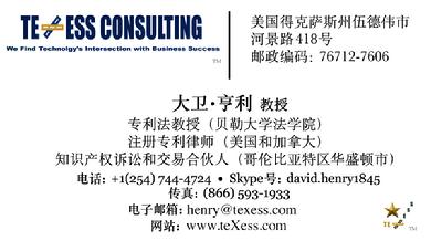 PAtent Trademark Copyright Consulting Litigation